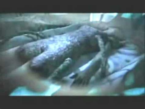 baby alien girl nude|Alien Girl Porn Videos .